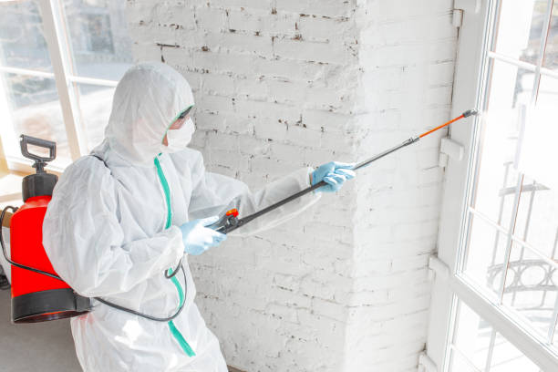 Mold Remediation for Rental Properties in Sheridan, WY